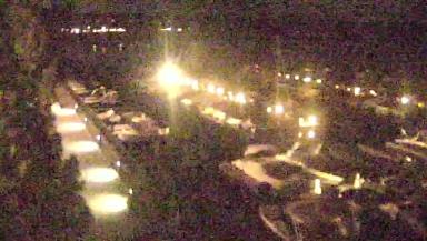 TCM Webcam