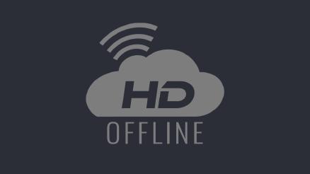 Southwest Florida Live Bald Eagle Cam | HDOnTap.com