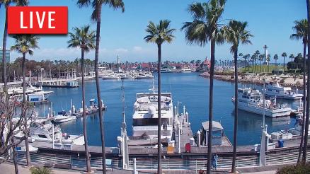 Long Beach Harbor Live Webcam HDOnTap