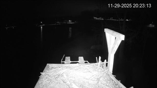 Live Pleasant Hill Lake Osprey Nest Cam